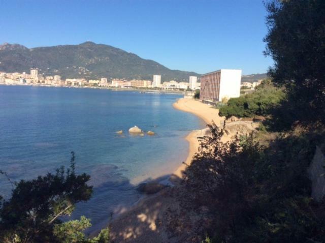 Villa D'Exception, Piscine, Vue Mer, Plage A 100M Ajaccio  Exterior photo